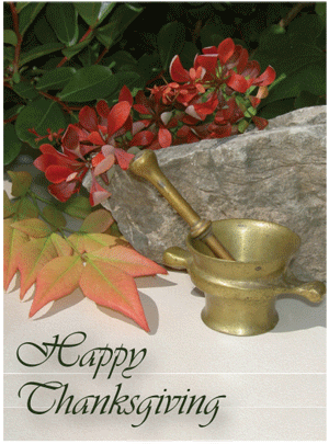 thanksgivingcard1.gif thanksgivingcard1.gif
